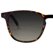 Barner Dalston Glossy Sunglasses - Brown Tortoise