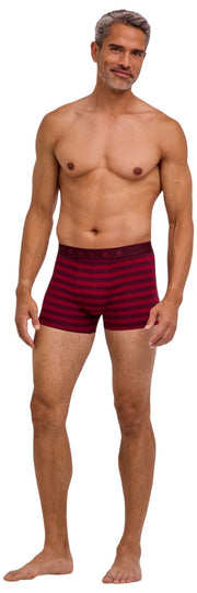 Falke Daily Comfort gestreepte boxershort - bordeaux