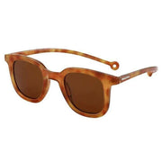 Parafina Cauce Sunglasses - Ginger Carey/Royal Caramel